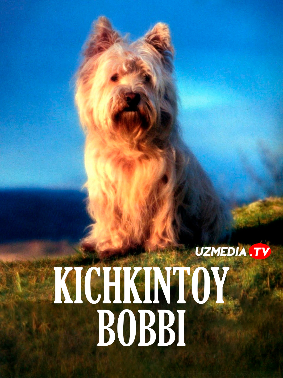 Greyfriars Bobbining sarguzashtlari / Kichkina Bobbiy Uzbek tilida O'zbekcha 2005 tarjima kino Full HD tas-ix skachat